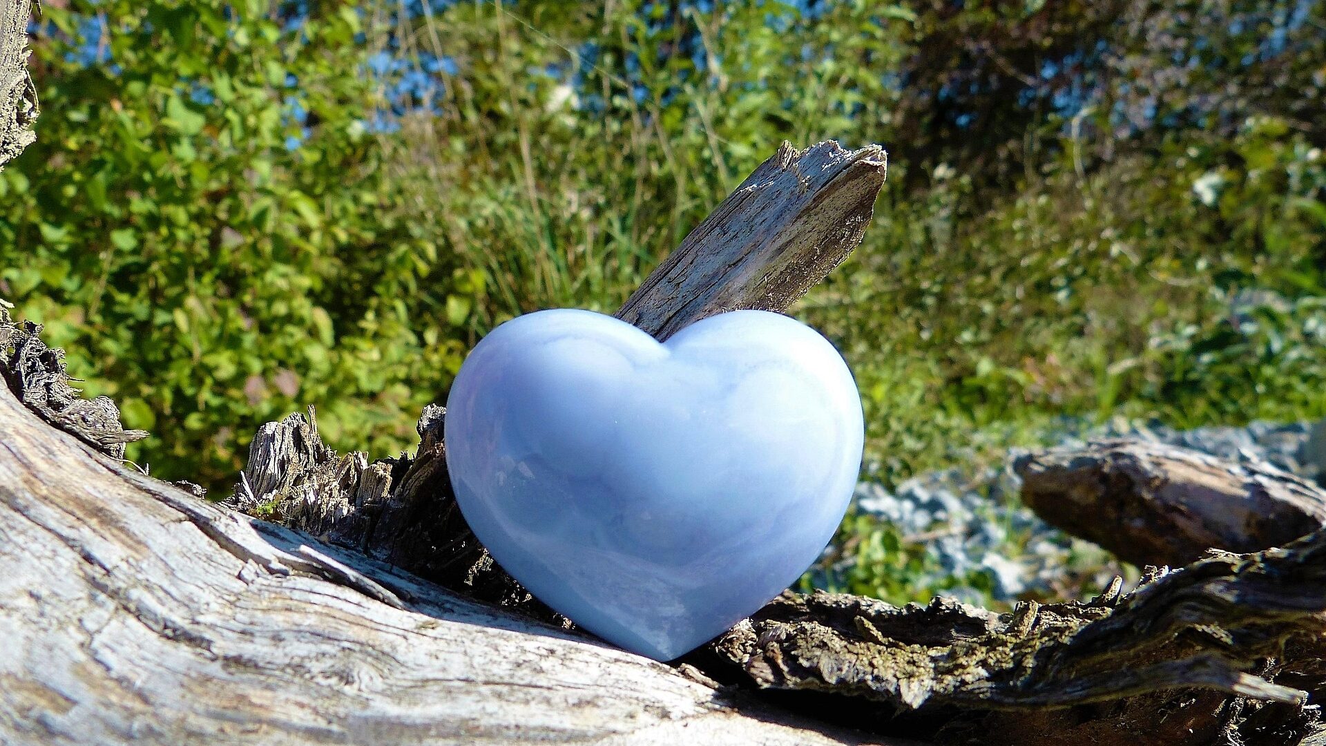 Der Umwelt zuliebe handeln.