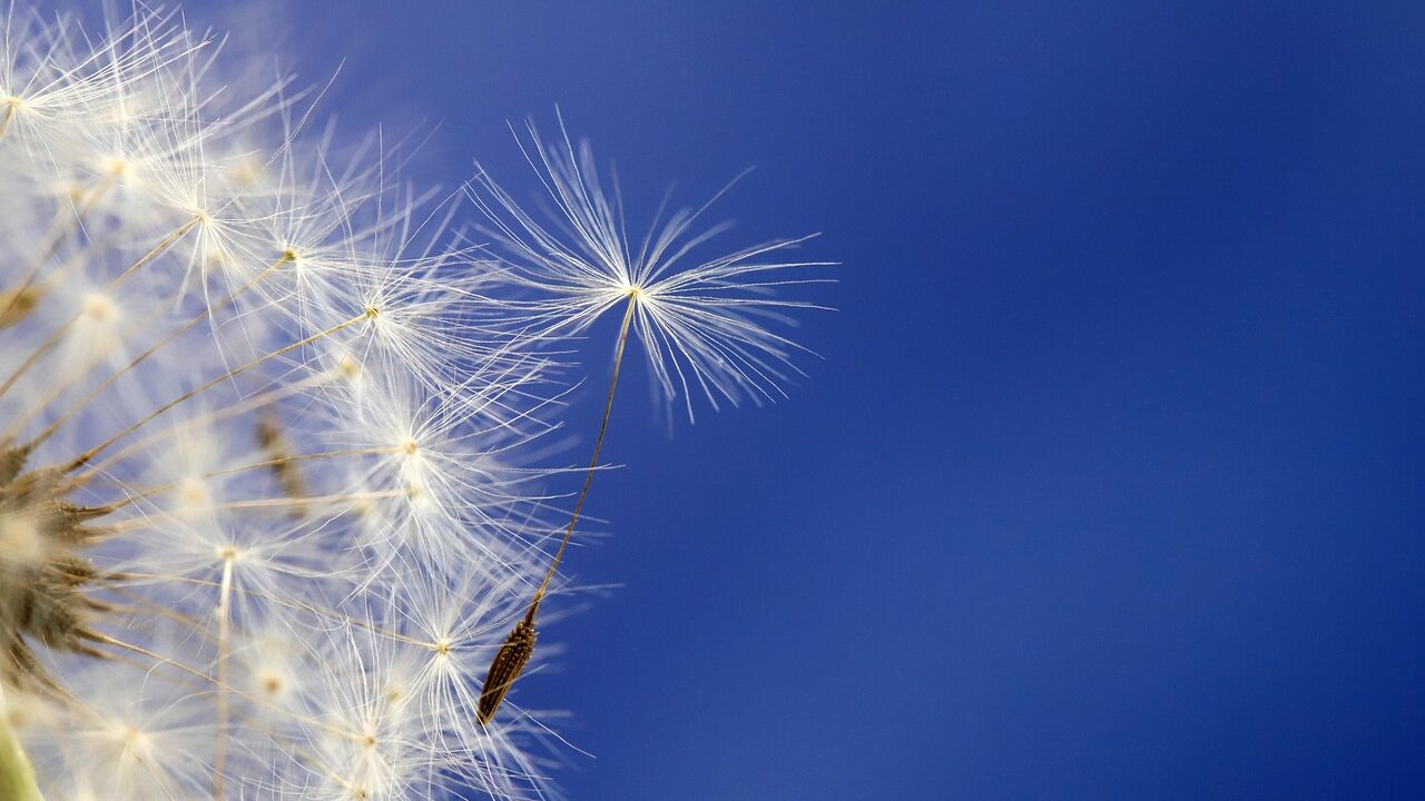 Nachhaltigkeit und Umweltschutz in Österreich 3 Eine gesunde Natur ist Lebensgrundlage.