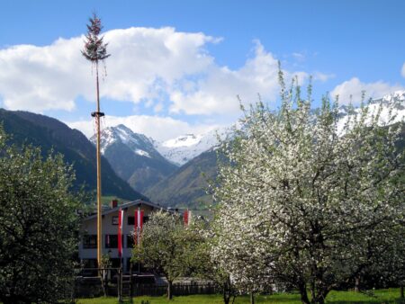 Traditionen die schwinden: Wie sich Österreichs kulturelles Erbe verändert und wieso