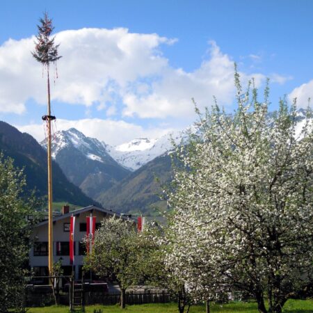 Traditionen die schwinden: Wie sich Österreichs kulturelles Erbe verändert und wieso