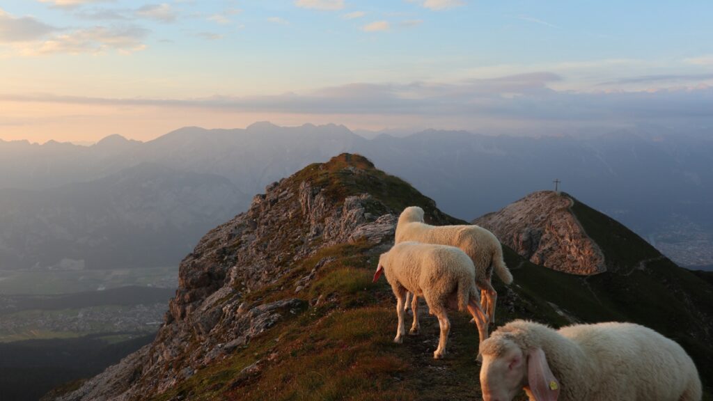 Die besten Reisetipps für den nächsten Tirol Urlaub 2 Urlaub Tirol
