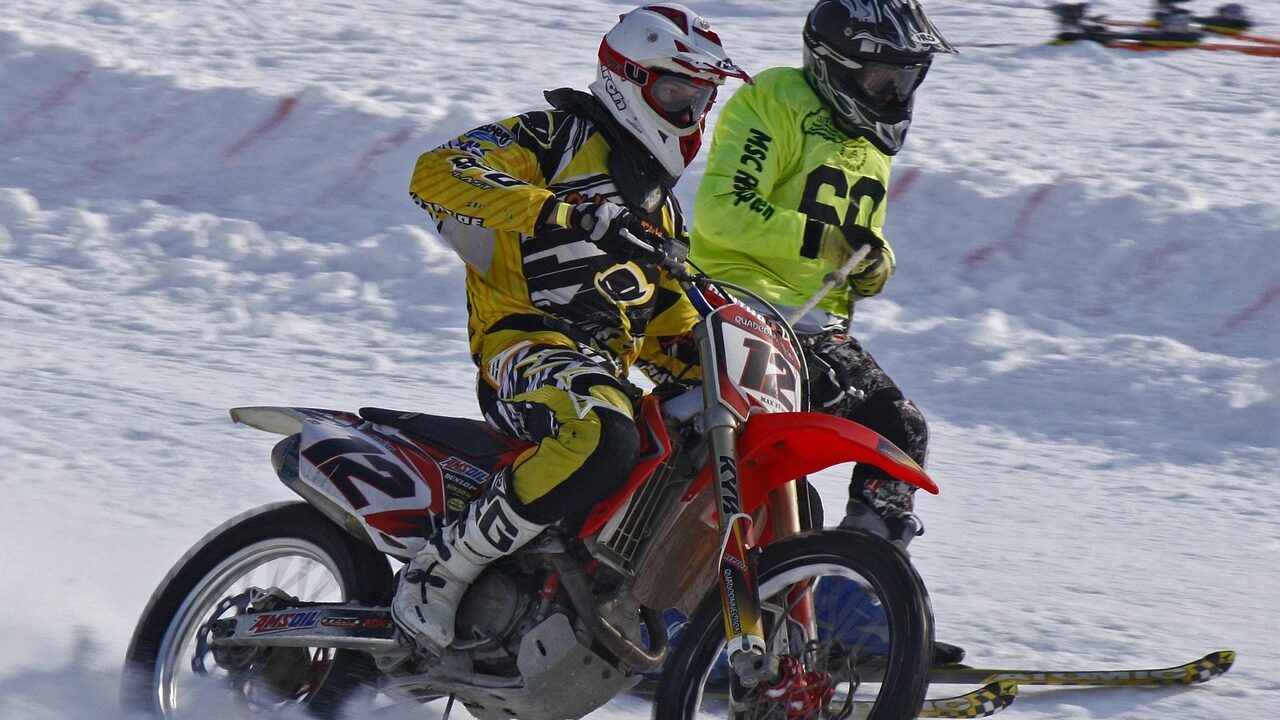 roall skijoring 2438889 1280 edited