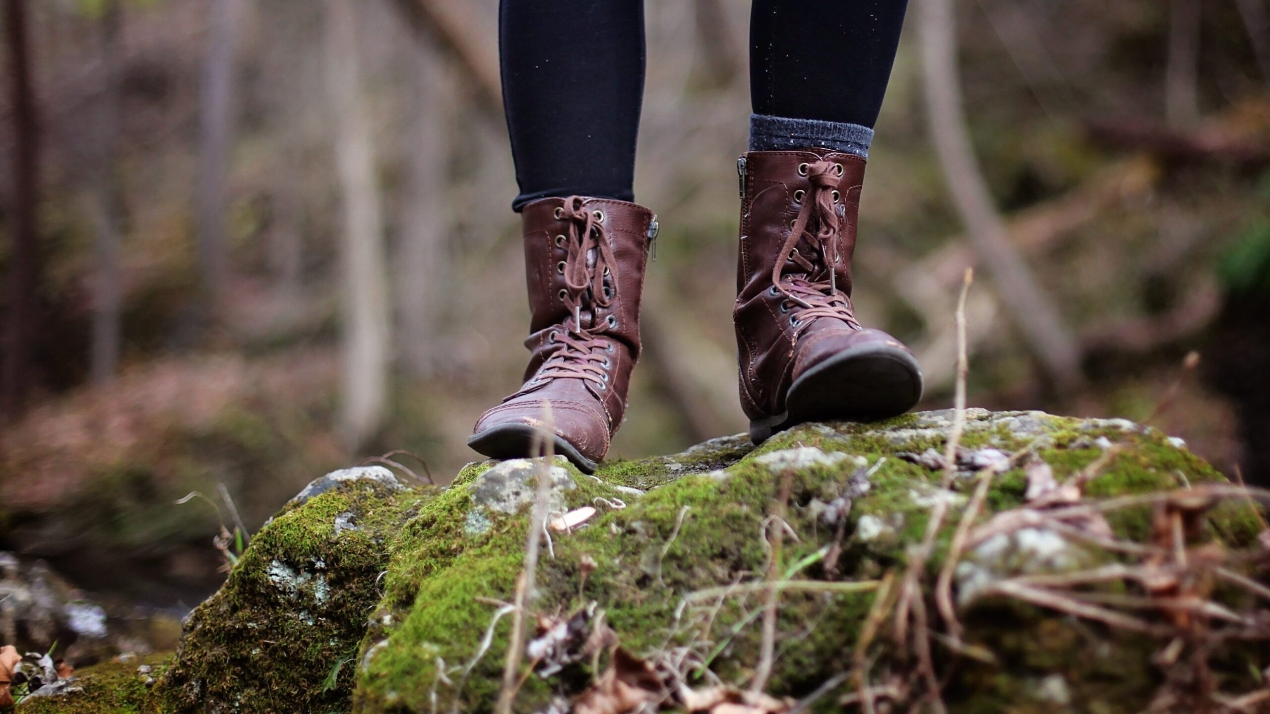 Die besten Wanderregionen in Österreich, die man kennen muss: 3 Wanderregionen in Österreich