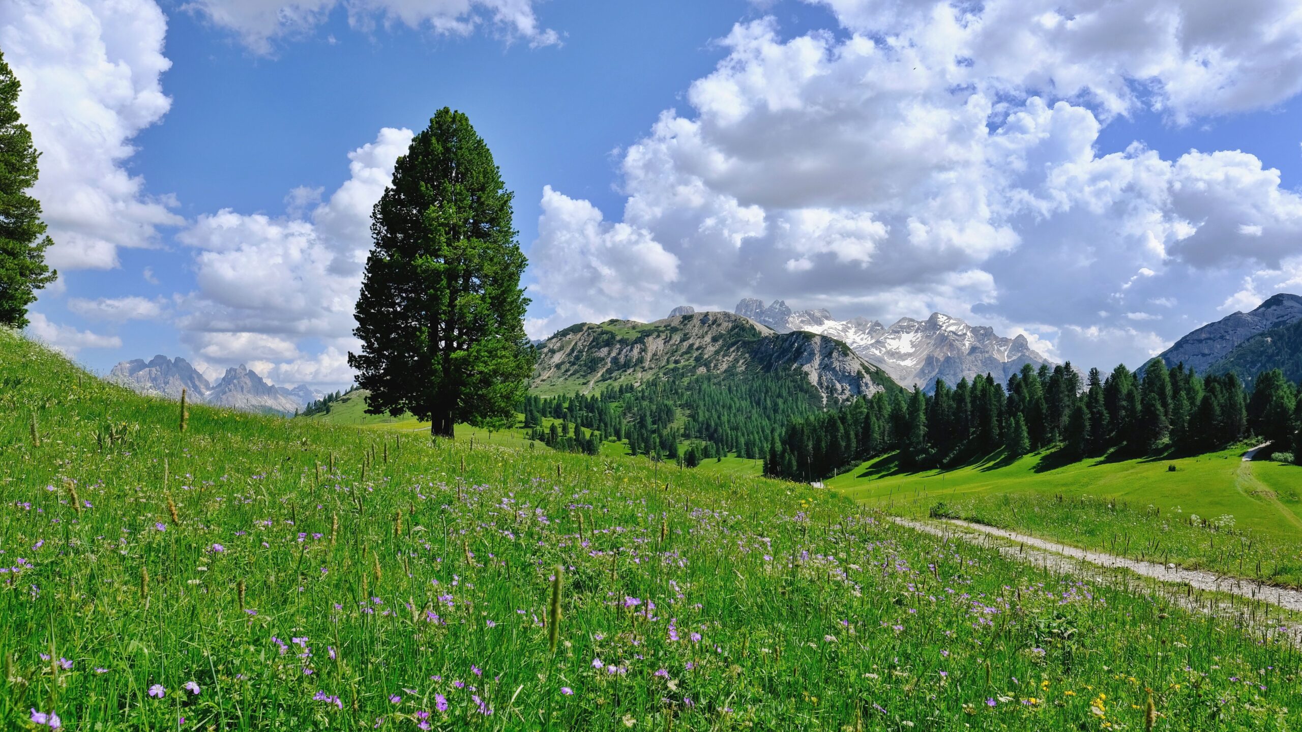 Fügen erleben: Das ultimative Alpen-Paradies für Sommer & Winter entdecken 1 Fügen
