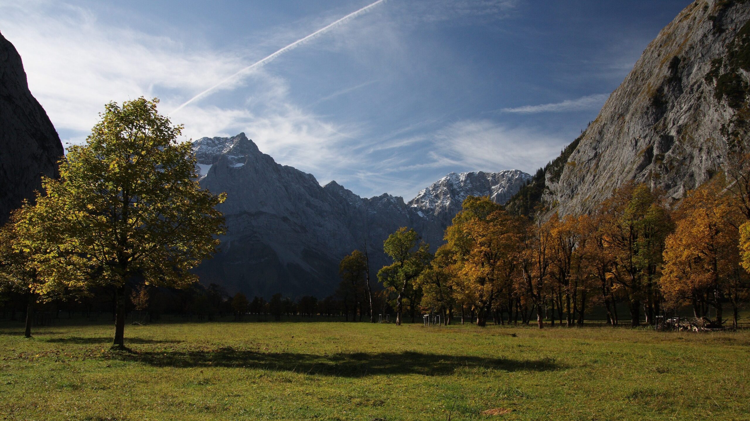 Naturschutzgebiete Österreich – einzigartige Landschaften im Herzen Europas 1 Naturschutzgebiete Österreich, Wald, Wälder schützen