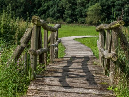 Naturschutzgebiete Österreich – einzigartige Landschaften im Herzen Europas