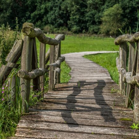 Naturschutzgebiete Österreich – einzigartige Landschaften im Herzen Europas