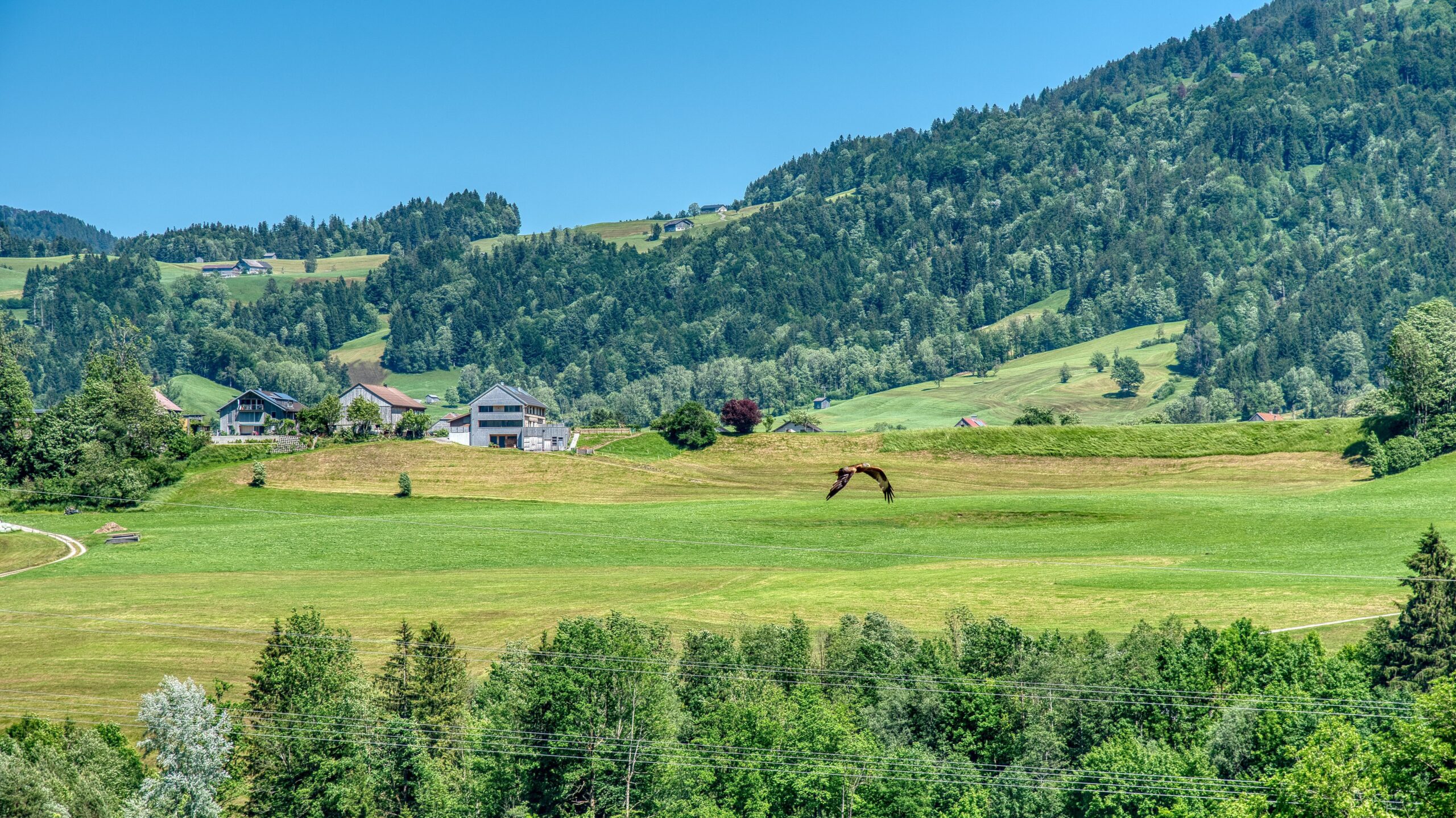 Ausflugsziele Vorarlberg: Die schönsten Orte für Natur, Familien, Kultur und Abenteuer 2 webentwicklerin landscape 4905527 edited scaled