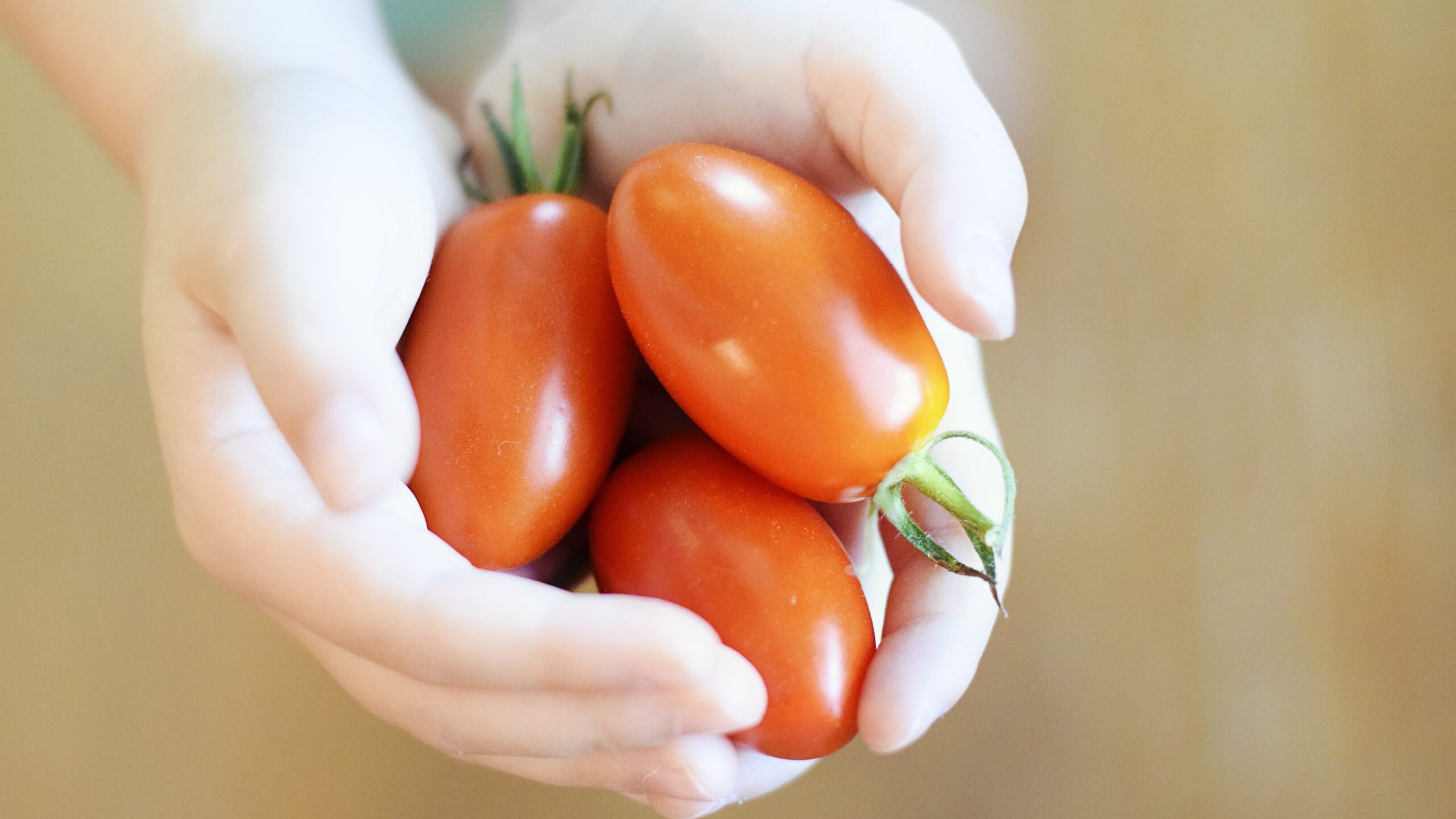 Food-Märkte in Österreich – Die schönsten Genussmärkte für regionale Spezialitäten und Street Food 2 davies designs cherry tomatoes 2613157 edited scaled