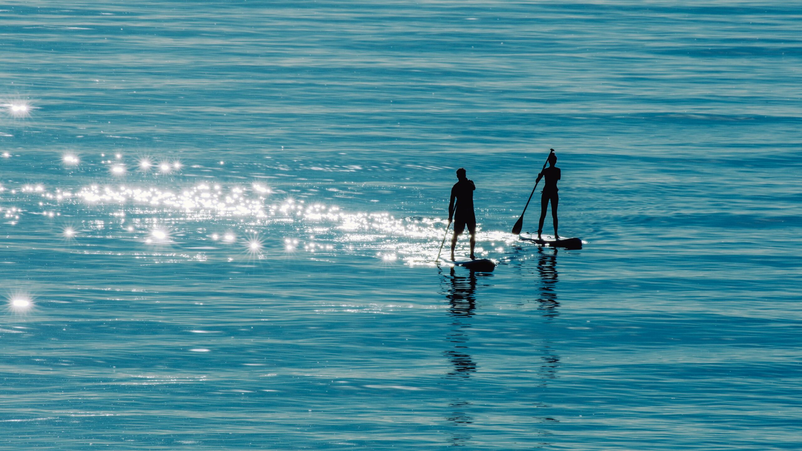 Stand-Up-Paddling in Österreich – Die schönsten SUP-Spots, Tipps und alles Wissenswerte für den perfekten Urlaub 3 wal 172619 sea 5480436 edited scaled
