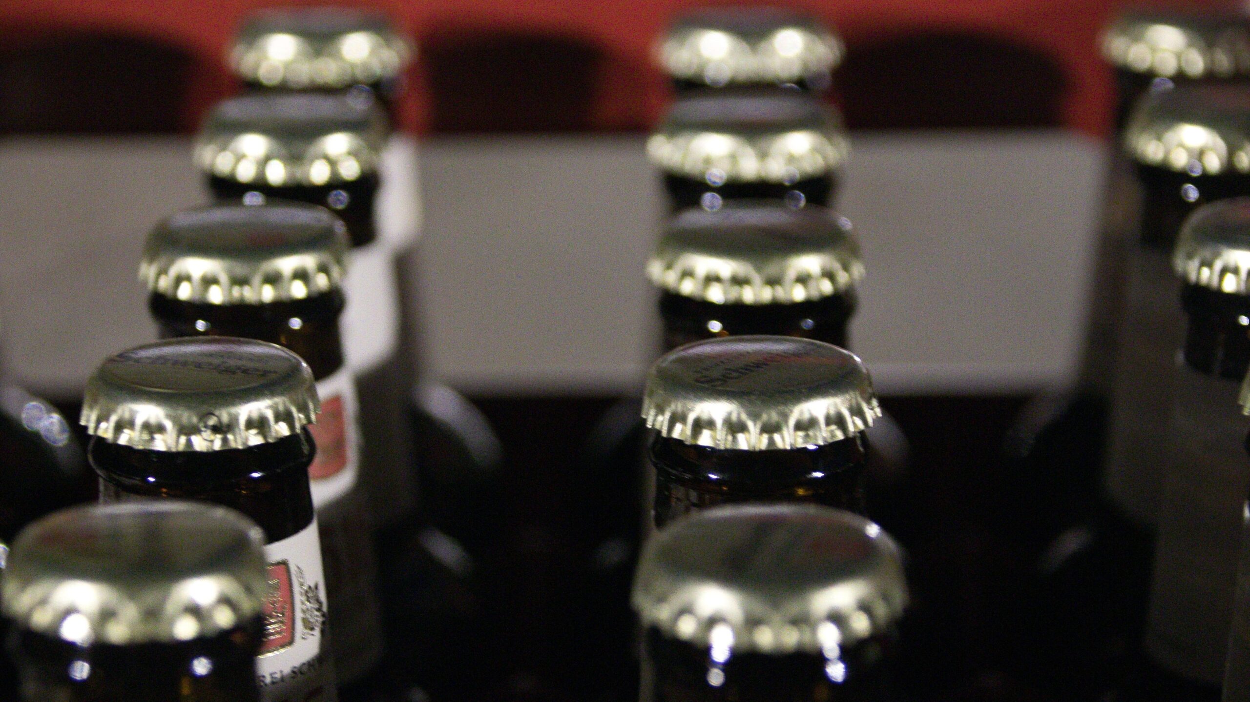 Pfand in Österreich: So funktioniert das System 3 planet fox beer 5925272 edited scaled