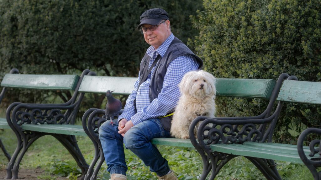 Hundegesetze in Österreich: Alle wichtigen Regeln, Pflichten und Vorschriften im Überblick 1 Hundegesetze in Österreich, Hundehaltung in Österreich